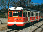 Tren FGC