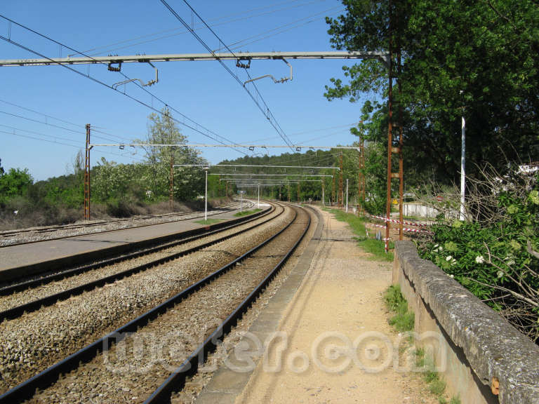 Renfe / ADIF: Flaçà - 2009