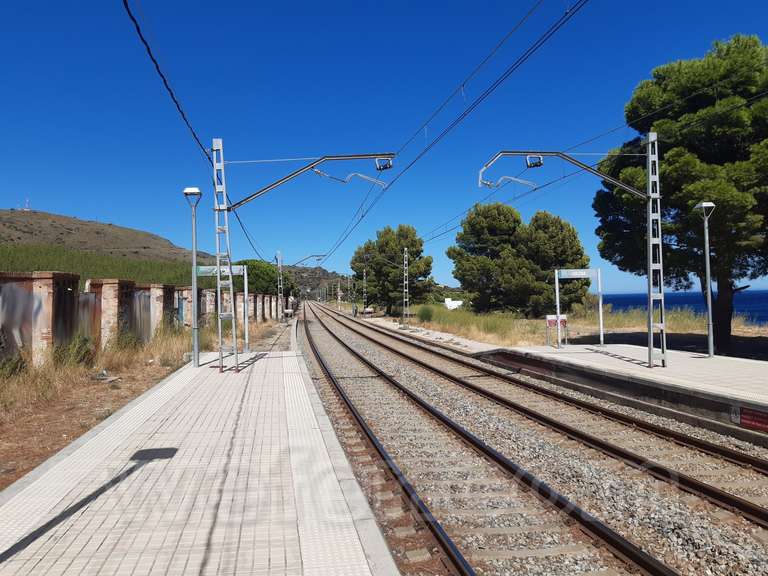 Renfe / ADIF: Colera