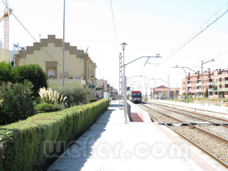 Renfe / ADIF: Mollerussa - 2008