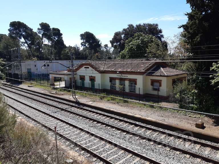 Renfe / ADIF: Torrebonica - 2021