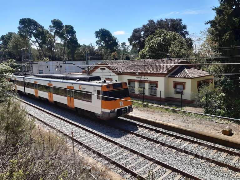 Renfe / ADIF: Torrebonica - 2021